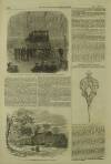 Illustrated London News Saturday 25 March 1854 Page 12