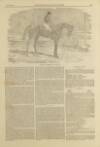 Illustrated London News Saturday 03 June 1854 Page 10