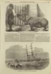 Illustrated London News Saturday 12 August 1854 Page 5