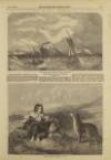 Illustrated London News Saturday 26 August 1854 Page 5