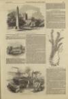 Illustrated London News Saturday 30 September 1854 Page 5