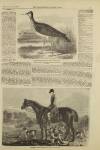 Illustrated London News Saturday 20 January 1855 Page 17