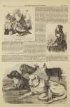 Illustrated London News Saturday 03 February 1855 Page 12