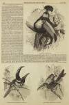 Illustrated London News Saturday 19 May 1855 Page 12