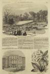 Illustrated London News Saturday 19 May 1855 Page 17