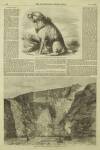 Illustrated London News Saturday 23 February 1856 Page 16