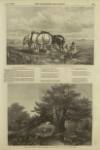 Illustrated London News Saturday 12 April 1856 Page 21