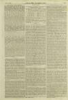 Illustrated London News Saturday 15 November 1856 Page 7