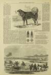 Illustrated London News Saturday 22 November 1856 Page 19