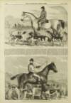 Illustrated London News Saturday 29 November 1856 Page 11
