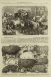 Illustrated London News Saturday 13 December 1856 Page 17