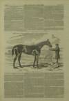 Illustrated London News Saturday 06 June 1857 Page 20
