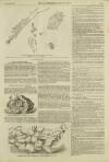 Illustrated London News Saturday 19 September 1857 Page 19