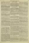 Illustrated London News Saturday 21 November 1857 Page 19