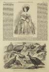 Illustrated London News Saturday 10 April 1858 Page 12
