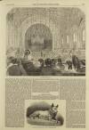 Illustrated London News Saturday 10 April 1858 Page 13