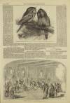 Illustrated London News Saturday 01 May 1858 Page 21