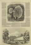 Illustrated London News Saturday 15 May 1858 Page 5