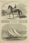 Illustrated London News Saturday 29 May 1858 Page 17