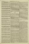 Illustrated London News Saturday 29 May 1858 Page 19