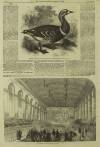 Illustrated London News Saturday 25 September 1858 Page 12