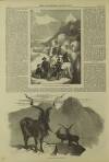 Illustrated London News Saturday 09 October 1858 Page 11