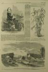 Illustrated London News Saturday 20 August 1859 Page 24
