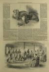 Illustrated London News Saturday 10 September 1859 Page 13