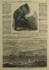 Illustrated London News Saturday 08 October 1859 Page 5