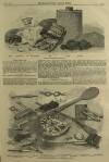 Illustrated London News Saturday 15 October 1859 Page 5