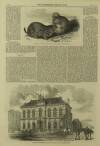 Illustrated London News Saturday 11 February 1860 Page 20