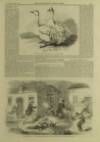 Illustrated London News Saturday 08 September 1860 Page 16