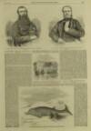 Illustrated London News Saturday 17 November 1860 Page 12