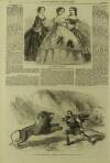 Illustrated London News Saturday 02 February 1861 Page 4