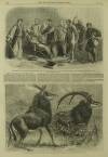 Illustrated London News Saturday 12 October 1861 Page 12