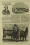 Illustrated London News Saturday 14 December 1861 Page 4