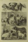 Illustrated London News Saturday 14 December 1861 Page 8