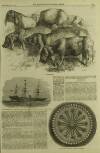 Illustrated London News Saturday 11 January 1862 Page 17