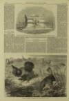 Illustrated London News Saturday 07 June 1862 Page 4