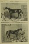 Illustrated London News Saturday 14 June 1862 Page 13