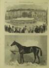 Illustrated London News Saturday 02 May 1863 Page 23