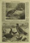 Illustrated London News Saturday 06 June 1863 Page 16