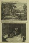 Illustrated London News Saturday 11 July 1863 Page 26