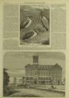 Illustrated London News Saturday 22 August 1863 Page 13