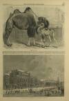 Illustrated London News Saturday 30 January 1864 Page 17