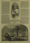 Illustrated London News Saturday 20 February 1864 Page 13