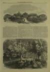 Illustrated London News Saturday 20 February 1864 Page 21