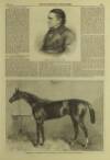 Illustrated London News Saturday 07 May 1864 Page 12