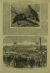 Illustrated London News Saturday 09 July 1864 Page 21