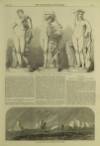 Illustrated London News Saturday 12 November 1864 Page 21